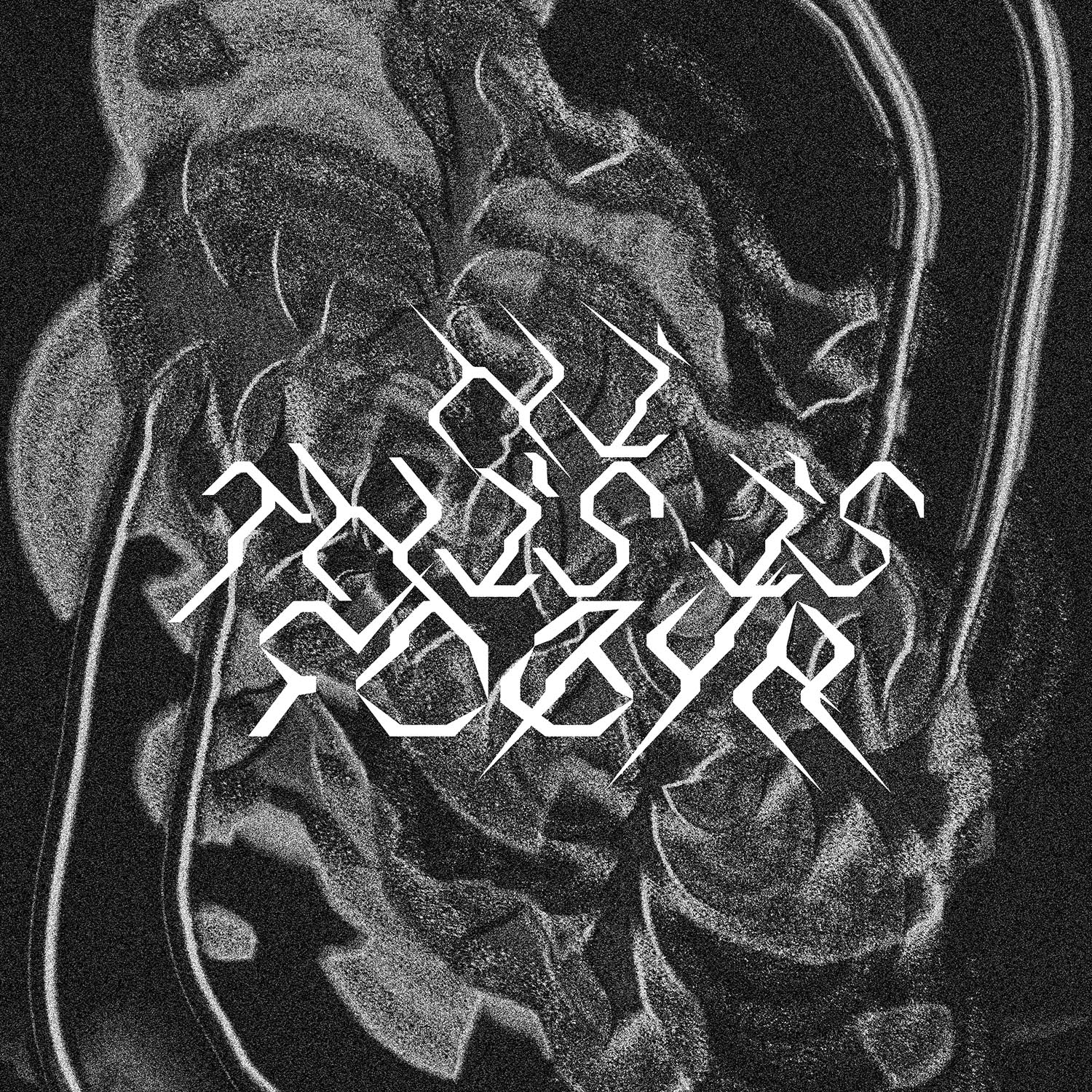 FOBYA Variable [HIDE_TYPE_15]