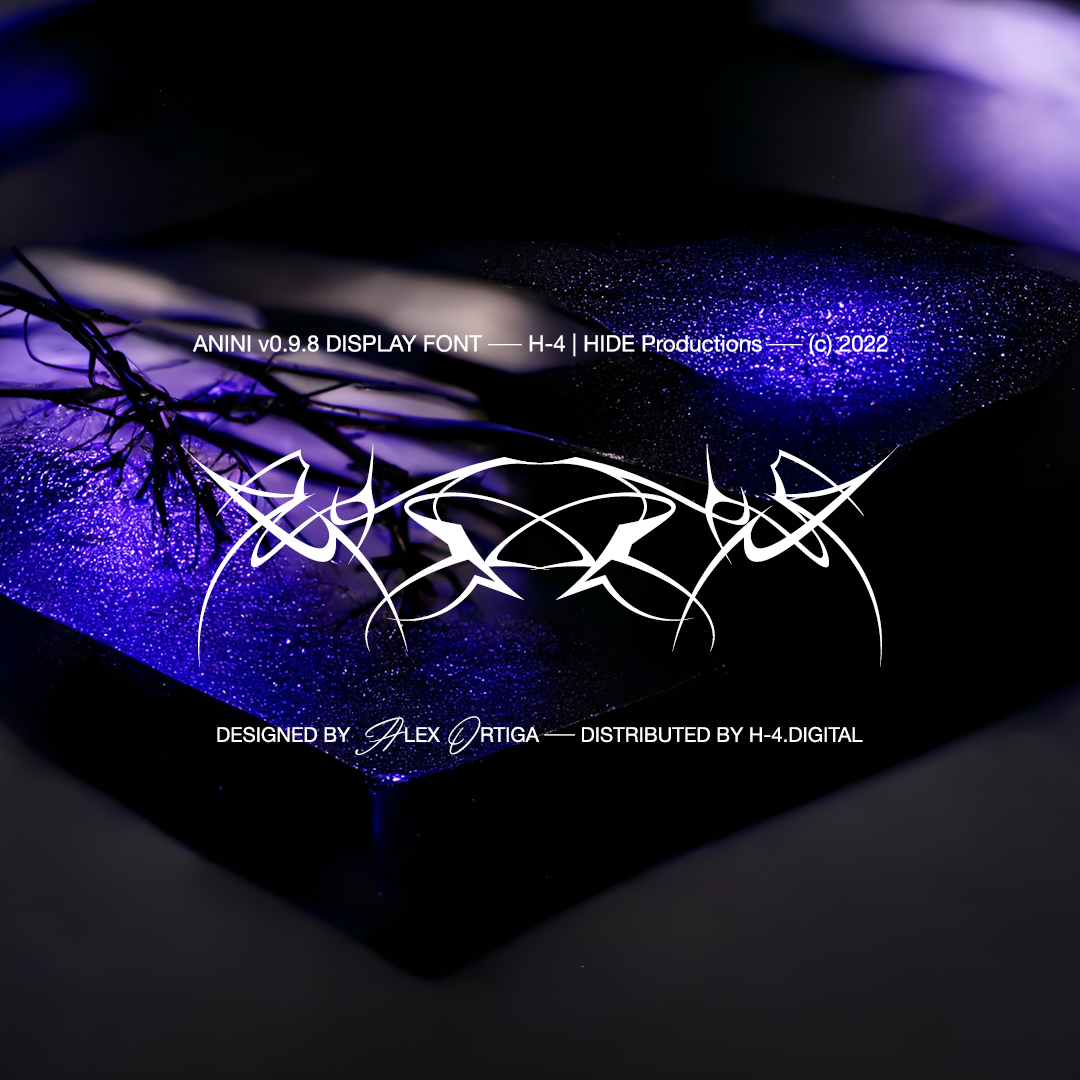 ANINI [HIDE_TYPE_21]