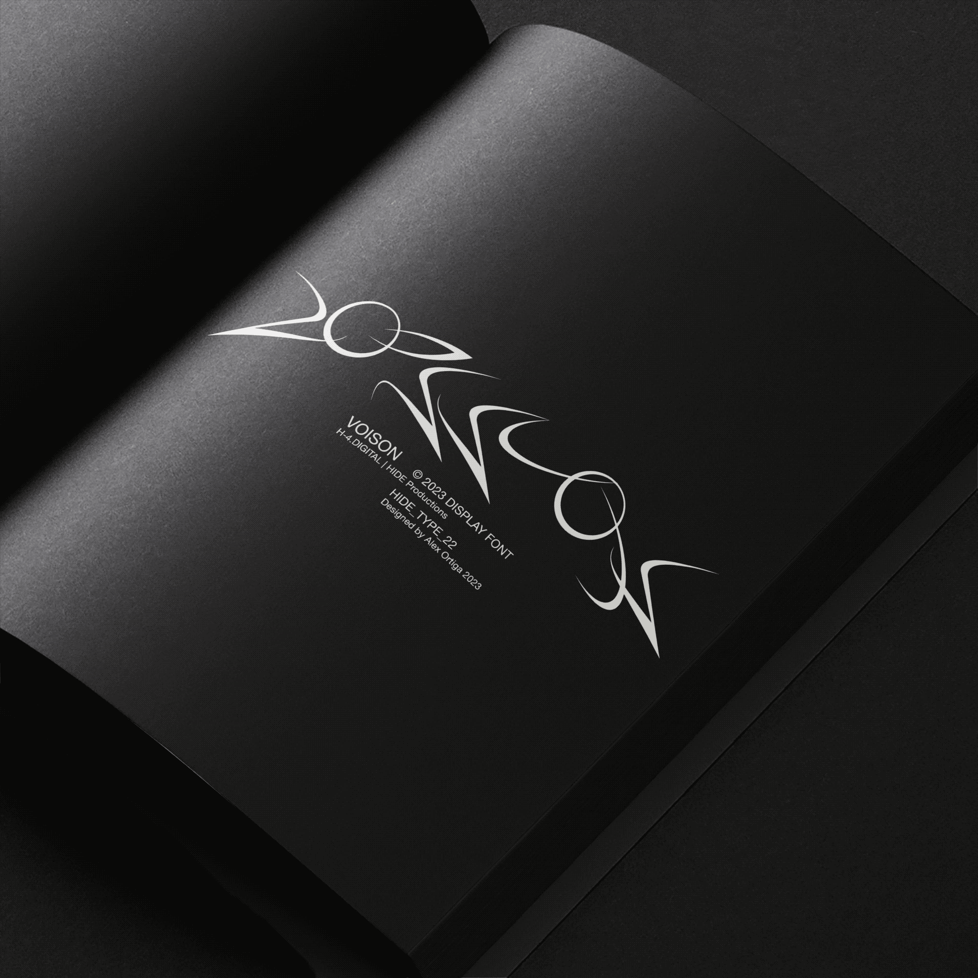 VOISON [HIDE_TYPE_22]